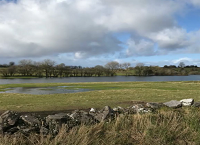 The Importance of Wetlands