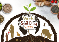World Soil Day 2022 – Soils: where food begins