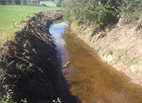 Reducing Phosphorus Loss to Water