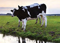 Cross Compliance Nitrates – Keeping up to date