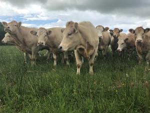 Will Leased land leave money in your pocket in 2024?