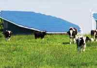 Dairy Farm Energy