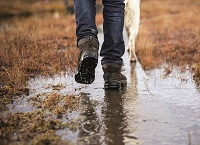 Farm Safety Interventions to help advisors promote safety with livestock