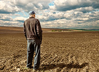 Farm transfer – it’s time