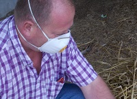 Preventing Occupational Respiratory Diseases in Farming