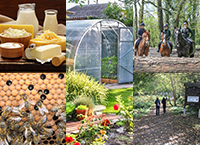 Rural Diversification