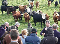 Are you considering converting to Organic Farming?