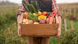 Exploring Farm Diversification: Pick Your Own
