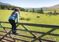 Self-catering accommodation in agritourism