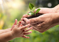 Transferring the Family Farm Online Event