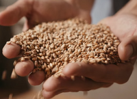 What food from beer waste would you like to go with your pint?