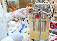 Teagasc researchers included on the 2023 Clarivate list of Highly Cited Researchers
