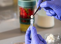 Teagasc Food Programme researchers receive funding from Horizon Europe Research Innovation Action Call