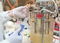 Paving the whey – transforming dairy waste