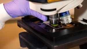 Teagasc researchers secure funding for new policy-focused research projects