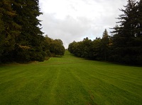 FitForests –Ensuring correct tree species choice to address climate change uncertainties
