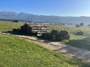 The management of the Cansiglio Forest in Italy