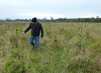 Forestry winter management tasks
