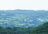 Watch: Timber categories and sales methods – conifer forest management