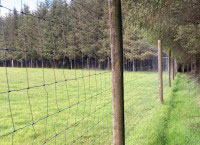 Forest fences – keeping our forests safe