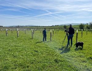Fourth Irish RAIN Workshop on Agroforestry Knowledge Platform (AF4EU)