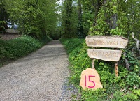 Forest recreation walks – don’t miss out