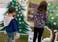 Engaging with children on trees and forestry