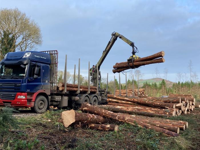 Loading of logs prior to transport from the forest