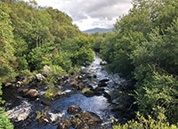 Woodlands for Water Event