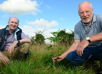 Forests helping to re-connect with nature