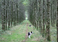 Leaving a legacy – the many rewards of good forest management