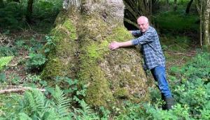 Forestry, farming and a furnace
