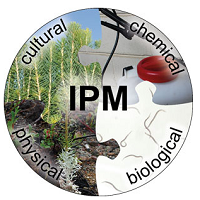 Pine Weevil Conference