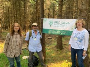 ContinuFOR project update: four thinnings into our continuous cover trials