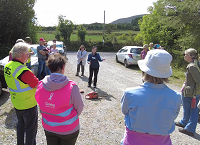 Forestry Knowledge Transfer Groups (KTGs) re-commence