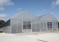 Seed Orchards