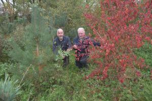 Forestry delivering multiple benefits on Kildare beef farm