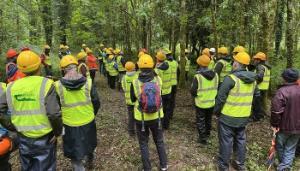 Managing Highly Productive Conifer Forests – Best Practice Event