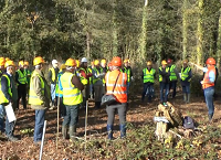 Teagasc Forestry Development Department – Overview