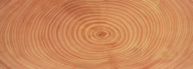 Tree rings