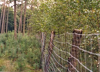 How to improve the biodiversity value of your forest – Part 1