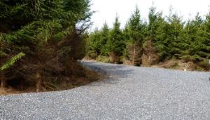 A look at the Forest Roads Scheme 2023-2027
