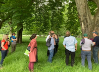 Novel forest tree breeding for tolerance to abiotic and biotic stress