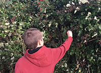 What’s on our Nature table? A lesson in integrating biodiversity