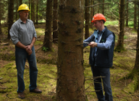 Keeping faith with forestry