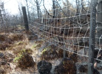 Forest fires – we can all help