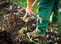 Saving our soil