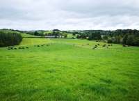 Ballyhaise Extended Grazing Trial