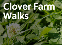 Teagasc Clover Farm Walks