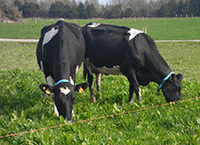 Research funding for technologies to reduce and account for GHG emissions